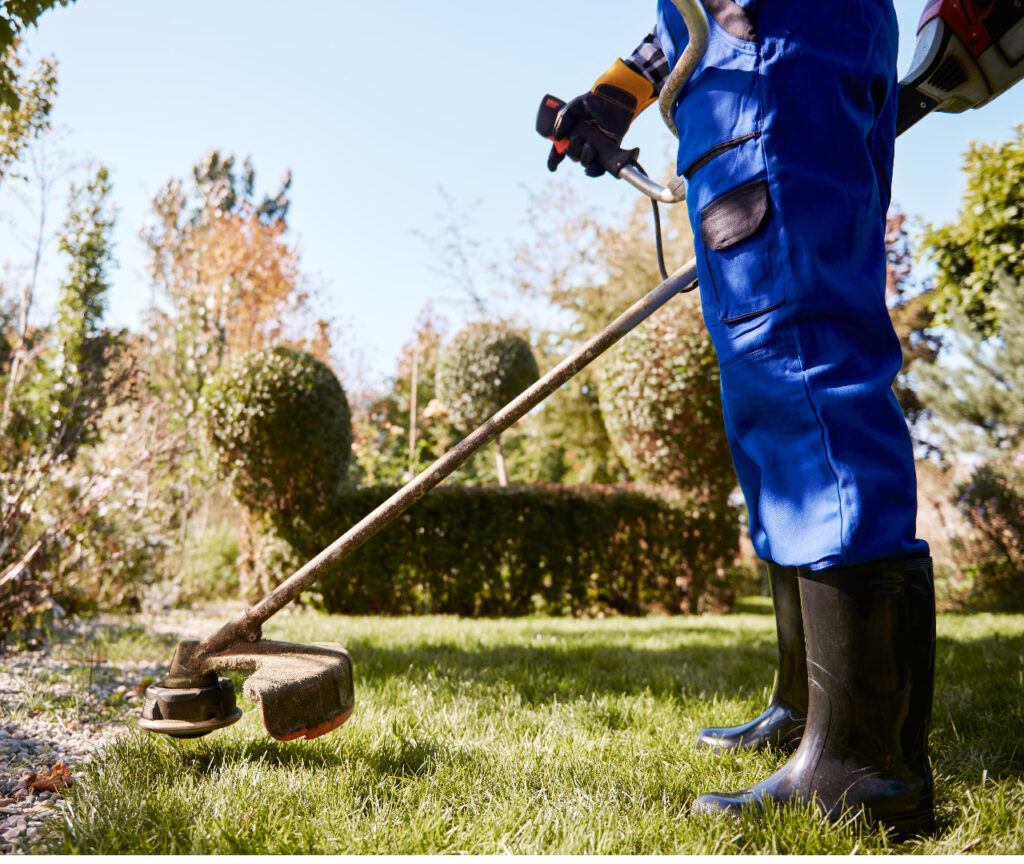 Untitled Project (5)